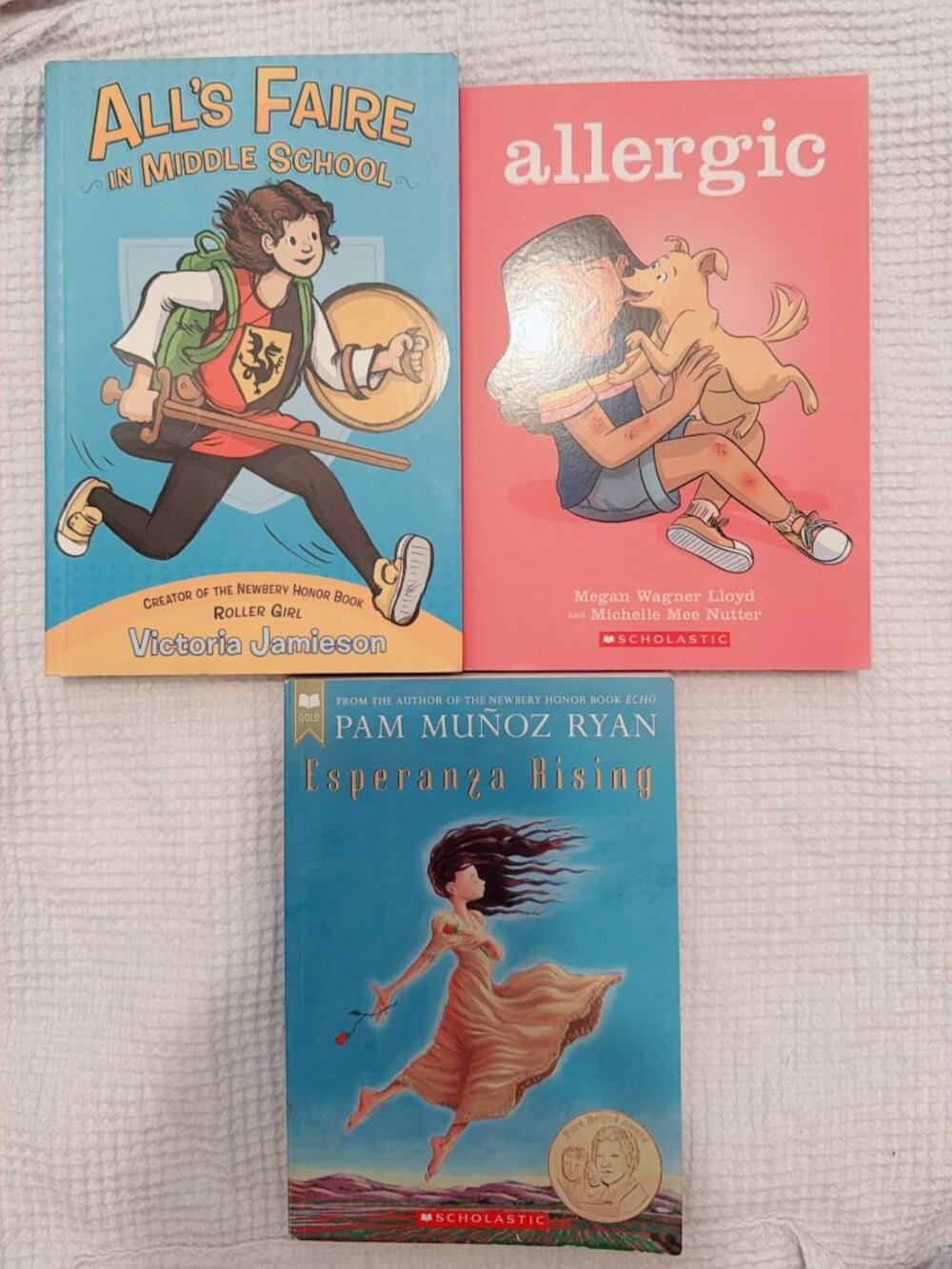 Lot of 3 Scholastic Kids Chapter Books